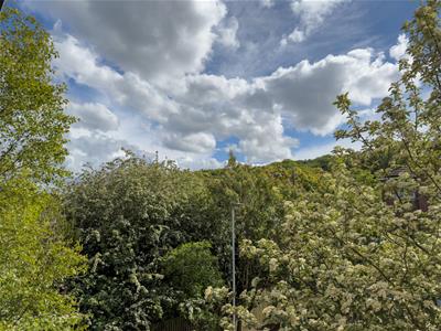 Picture 26
